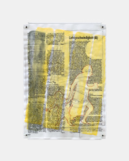 Untitled (from the series BB-Daumier), 2016/17 Coal, ink, pencil on tracing paper 2017 30 × 21 cm 